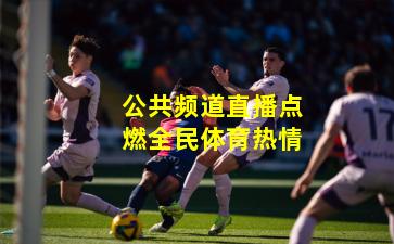 公共频道直播点燃全民体育热情