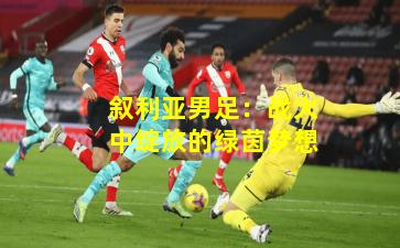 叙利亚男足:战火中绽放的绿茵梦想