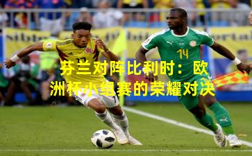 芬兰对阵比利时:欧洲杯小组赛的荣耀对决