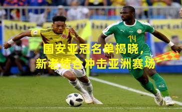 国安亚冠名单揭晓,新老结合冲击亚洲赛场