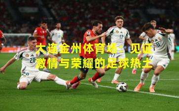 大连金州体育场：见证激情与荣耀的足球热土