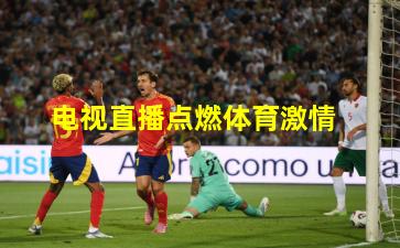 电视直播点燃体育激情